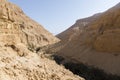 Wadi Arugot River, ein Gedi nature reserve, dead sea Royalty Free Stock Photo