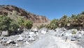 Wadi a dry river bed in the middle east Royalty Free Stock Photo