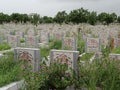 Wadi e Hussain Grave Yard