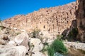 Wadi Hasa creek in Jordan Royalty Free Stock Photo