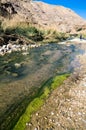 Wadi Hasa creek in Jordan Royalty Free Stock Photo