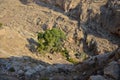 Wadi Kelt or Nahal Prat, in the Judean Desert, Israel. Early autumn in a nature reserve Royalty Free Stock Photo