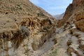 Wadi Murabba`at canyon - ravine cut by a seasonal stream,Israel