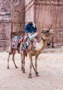 Bedouin driver sits on a camel and keeps the second camel on a leash and waits for tourists in Petra near Wadi Musa city in Jordan