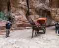 Bedouin riding in a cart drawn by a horse in a canyon al-Siq in Petra near Wadi Musa city in Jordan