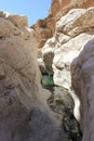 Wadi in Oman. A Water Paradise in the desert Royalty Free Stock Photo