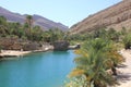 Wadi in Oman. A Water Paradise in the desert Royalty Free Stock Photo