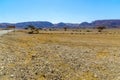 Wadi Paran Nature reserve, in the Negev Desert Royalty Free Stock Photo