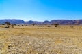 Wadi Paran Nature reserve, in the Negev Desert Royalty Free Stock Photo