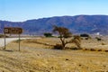 Wadi Paran Nature reserve, in the Negev Desert Royalty Free Stock Photo