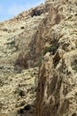 Wadi Qelt in Judean desert near Jericho, Israel. Nature, stone, rock, canyon and oasis. Unseen, unknown, unexplored Royalty Free Stock Photo