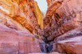 Wadi Rum Desert, Jordan. Khazali canyon. Royalty Free Stock Photo