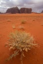 Wadi Rum desert landscape in cloudy day, Jordan, Middle east Royalty Free Stock Photo