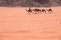 Wadi Rum, Jordan Royalty Free Stock Photo