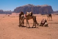 Wadi Rum, Jordan Royalty Free Stock Photo