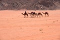 Wadi Rum, Jordan Royalty Free Stock Photo
