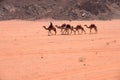 Wadi Rum, Jordan