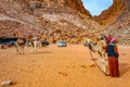 WADI RUM, JORDAN, JANUARY 5, 2019: A group of camels resting near Lawrence spring at Wadi Rum, Jordan