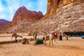WADI RUM, JORDAN, JANUARY 5, 2019: A group of camels resting near Lawrence spring at Wadi Rum, Jordan