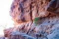 Wadi Rum, Jordan, 17th of March 2019: Wadi Rum rock formations desert.Wadi Rum Valley of the Moon Royalty Free Stock Photo