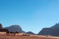 Wadi Rum, camel, camels, dirt road, the Valley of the Moon, Jordan, Middle East, desert, landscape, nature, climate change Royalty Free Stock Photo