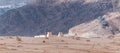 The Wadi Rum Visitor Center stands near the foot of the red mountains in the Wadi Rum desert near Aqaba city in Jordan