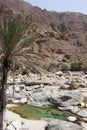Wadi Shab in Oman Royalty Free Stock Photo