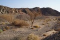 Wadi Shahamon near Eilat