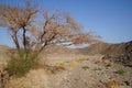 Wadi Shahamon near Eilat