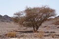 Wadi Shahamon near Northern Eilat