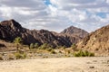 Wadi Shawka riverbed in Hajar Mountains, with oasis, palm trees and plants, UAE.