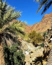 Shees valley in mountains area, wadi shees in uae