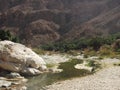 A view of Wadi Tiwi oasis in Oman, Arabian Peninsula