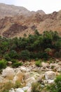 Wadi Tiwi