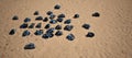 Wads of dirty blue paper covered in black oil lying in rippled sand of beach. Royalty Free Stock Photo