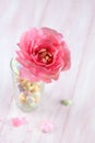 Wafer Paper Flower - Pink Peony Royalty Free Stock Photo