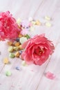 Wafer Paper Flower - Pink Peony Royalty Free Stock Photo