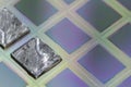 Pieces of polycrystalline silicon integrated on a polysilicon substrate with microchips