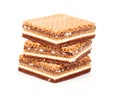 Wafers Royalty Free Stock Photo