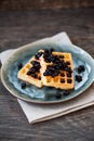 Waffels with blueberries