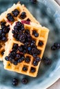 Waffels with blueberries Royalty Free Stock Photo
