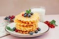 Waffle with blueberry berry and glass of milk, sweet dessert still life Royalty Free Stock Photo