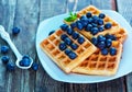 Waffle Royalty Free Stock Photo