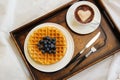 Waffle Breakfast with blueberry and coffee Royalty Free Stock Photo