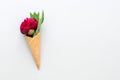 Waffle cone with beautiful red peony flower and leaves on grey concrete background.