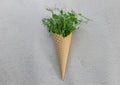 Waffle cone with fresh herbs, beautiful and original