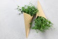 Waffle cone with fresh herbs, beautiful and original