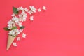 Waffle cone with jasmine flower bouquet on pink background