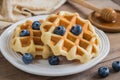 Waffle with fresh blueberry on plate and honey dipper Royalty Free Stock Photo