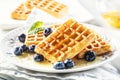 Waffle with honey and blueberries, sweet and vegan breakfast Royalty Free Stock Photo